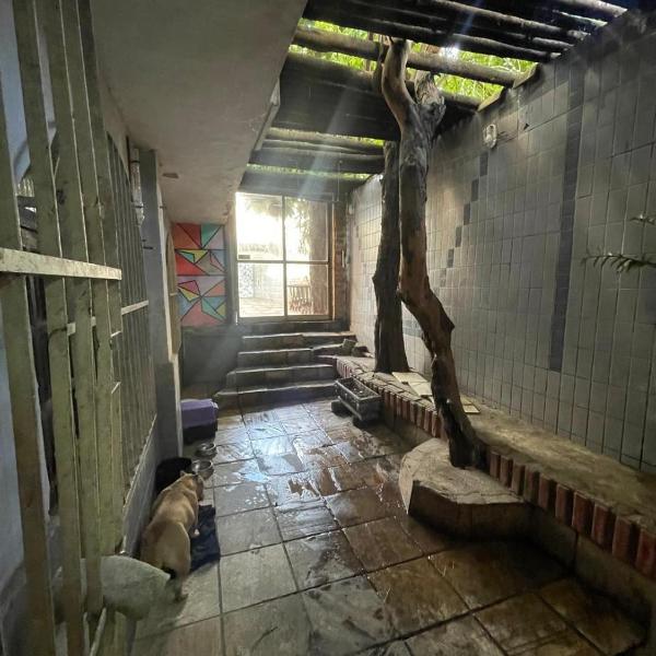 Casa em Itapoa - Vila Velha - Foto 5