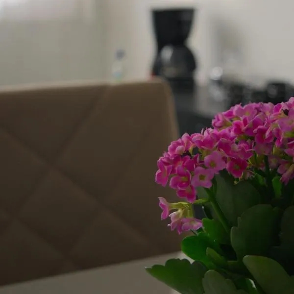 Apartamento dalias em Holambra, отель в городе Оламбра