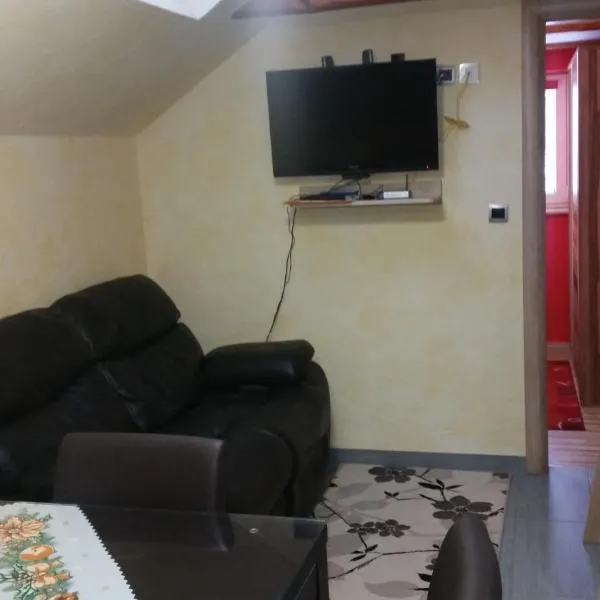Apartment Borovnica Rogla, hotel u gradu 'Resnik'