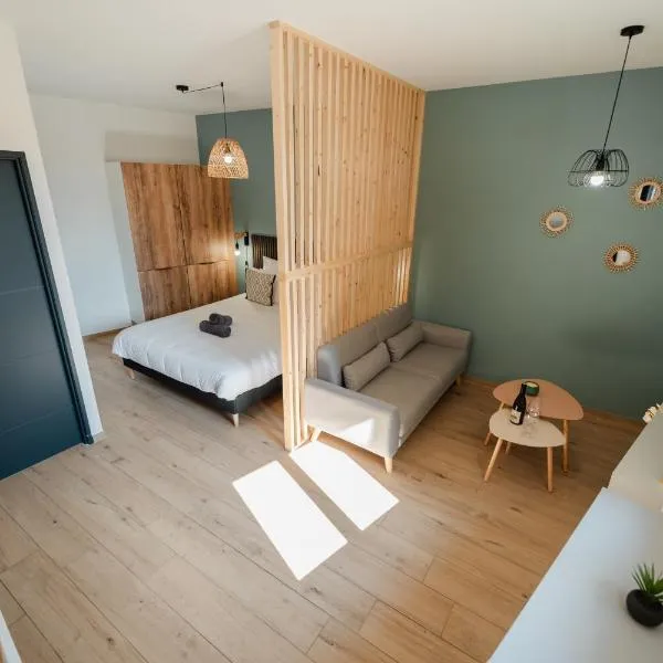 Vina Rhona - Loft de charme entre Rhône et Vignes, hotel in Condrieu