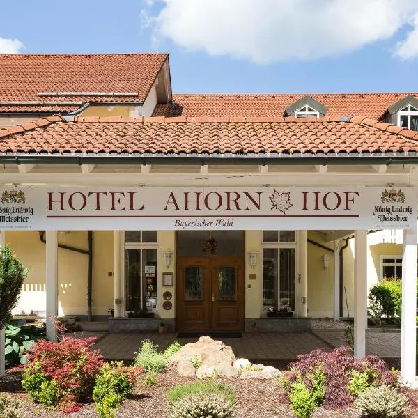 Hotel Ahornhof, hotel in Lindberg