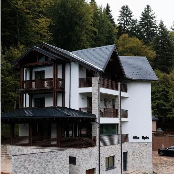 Vila Epic&Slanic Moldova โรงแรมในสลานิก-มอลโดวา