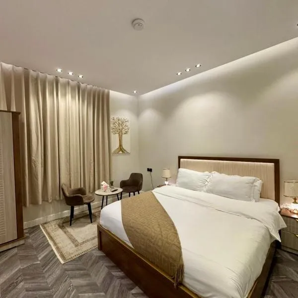 شقة استديو دخول ذاتي حي الوزارات, hotel v Rijádu