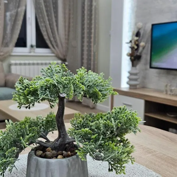 Apartman Vukota 2 Pirot, hotel in Pirot