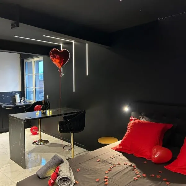 Luxueux appartement avec jacuzzi dans le centre de Macon ,snacking et cadeau – hotel w mieście Mâcon
