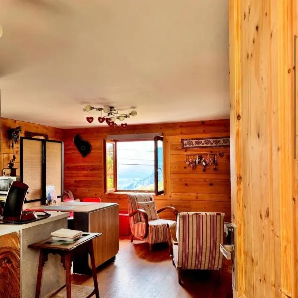 Gites Les Lupins avec Sauna et petit déjeuner inclus 2 a 4 personnes, hotel in Geishouse