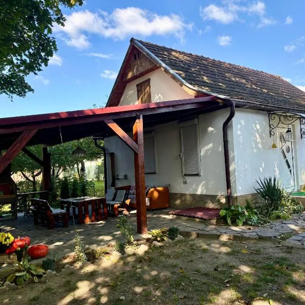Hotel Окремий Будинок-Апартаменти, hotel in Rakoshyno