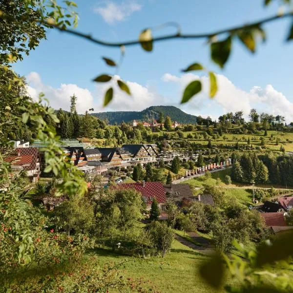 Hotel Dollenberg โรงแรมในบาด ปีเตอร์สตัล กรีสบาค