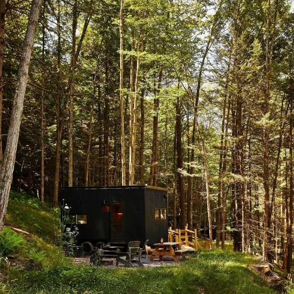 Postcard Cabins Big Bear, Outdoor Collection by Marriott Bonvoy، فندق في Running Springs