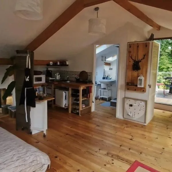 Studio autonome magnifique avec JARDIN d hiver TB situé Chaumont-Gistoux, hotel in Chaumont-Gistoux