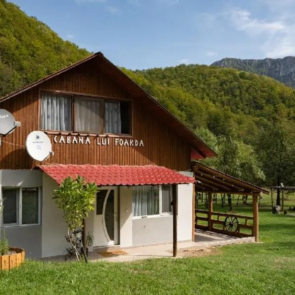 Cabana lui Foardă、Motru Secのホテル