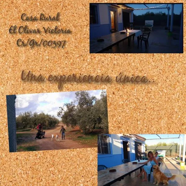 Casa Rural El Olivar Victoria, hotel di Cuevas del Campo