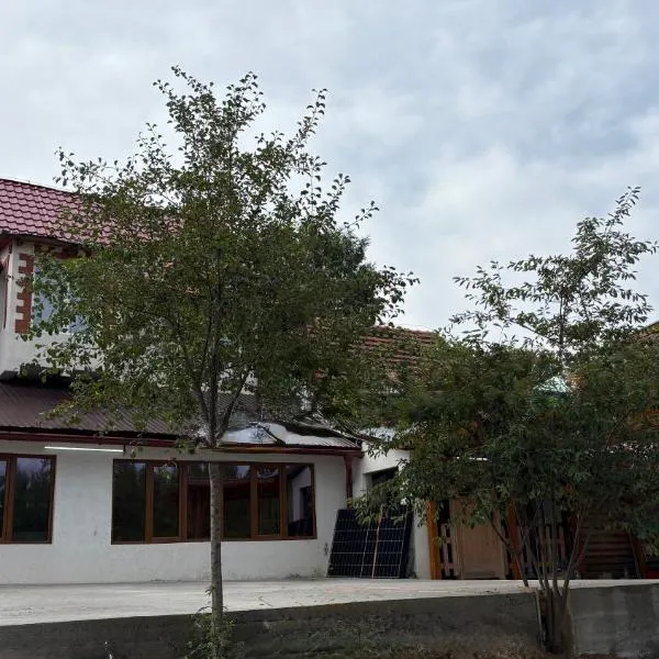 Cabana Ianoșiga, Hotel in Teregova