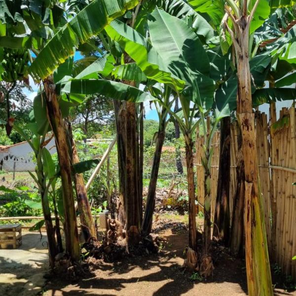 Casa no centro da Serra do Cipó - Foto 4