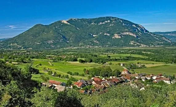 Le logis du Colombier: Culoz şehrinde bir otel