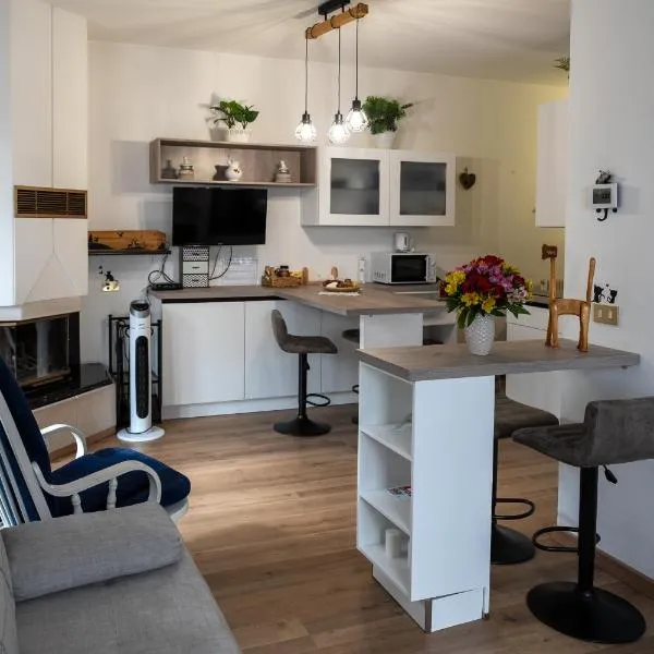 La Casa degli Sbilfs - Wi-Fi, Netflix e Garage Box , a 2 minuti dallo Zoncolan，位于拉瓦斯克莱托的酒店