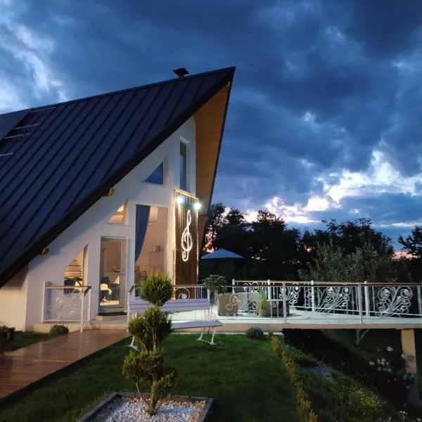 Villa Stradivaryus, hotel i Sighetu Marmaţiei