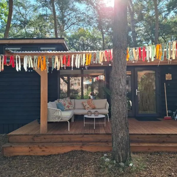 Thuisje van Hout, tiny house in Drentse natuur, hotel in Zuidwolde