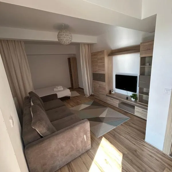 Apartament 1 camera Rivers Towers, hotel en Iaşi