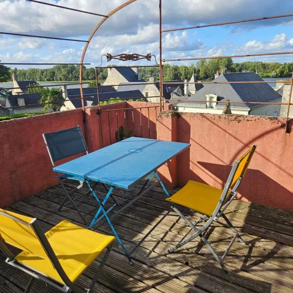 Maison avec terrasse face à la Confluence Loire-Vienne, hotel in Candes-Saint-Martin