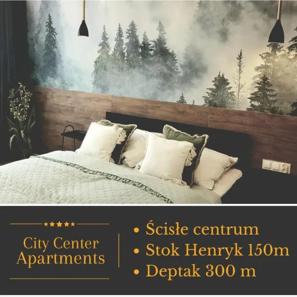Apartament City Center Rodzinny, hotel in Krynica Zdrój