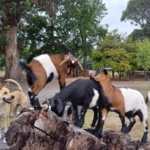 La Ferme Guest Farm - Hot Tubs, hotel v destinaci Franschhoek