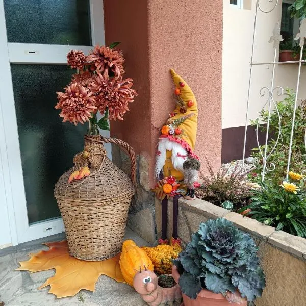Hársfa apartman, hotel in Makó