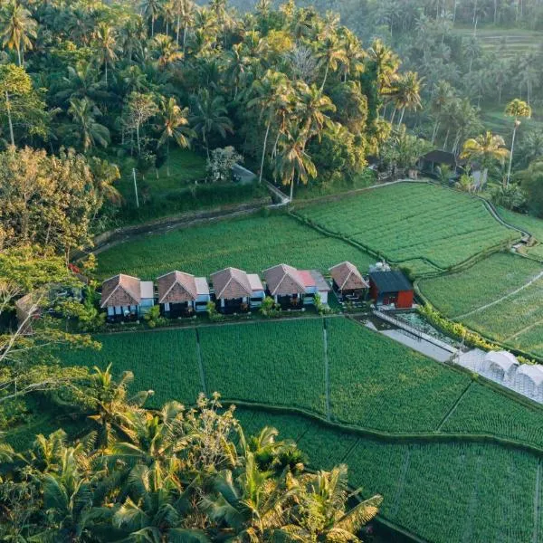Eco Oasis Wooden Villa Ubud、テガラランのホテル