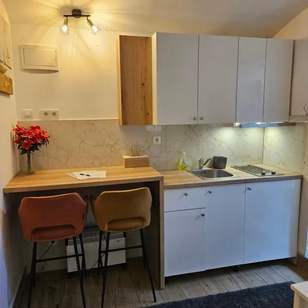 Apartment Maja - Strict center of Zagreb, hotell Zagrebis
