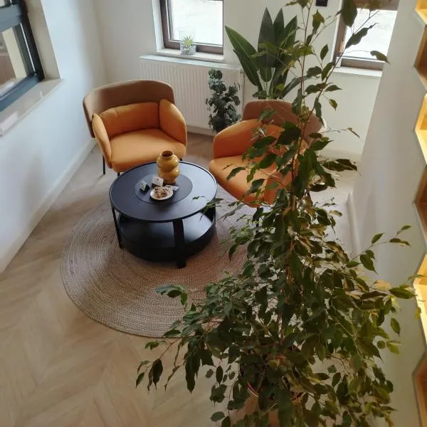 Vila Karlovčanka smeštaj u centru Sremskih Karlovaca, hotel in Sremski Karlovci