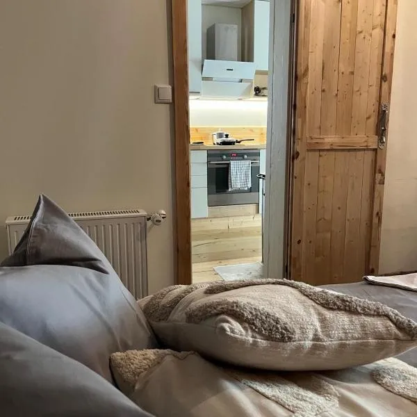 Viesnīca Cozy Apartment with Fully Fenced Private Garden, Fireplace & Free Bikes Pērnavā
