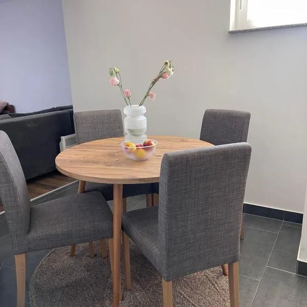 Kocić apartmani, хотел в Pojate