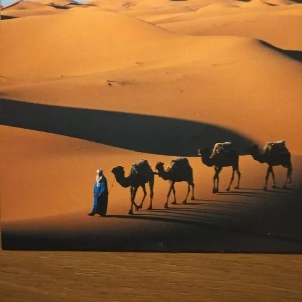 キャメル ハウス（Camels House）、メルズーガのホテル