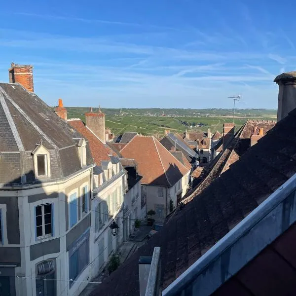 le Nid d Annie, hotel in Sancerre