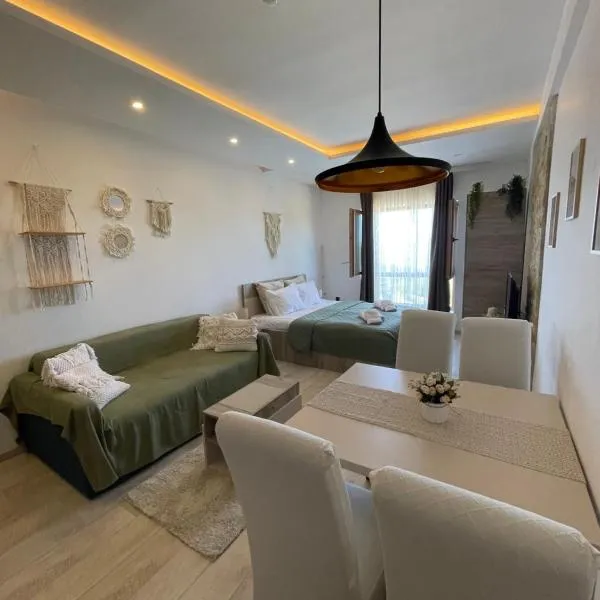 Apartman TAUNUS, hotel v destinaci Kopaonik