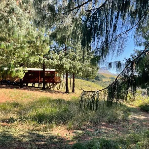 Dargle Forest Lodge, hotel in Dargle