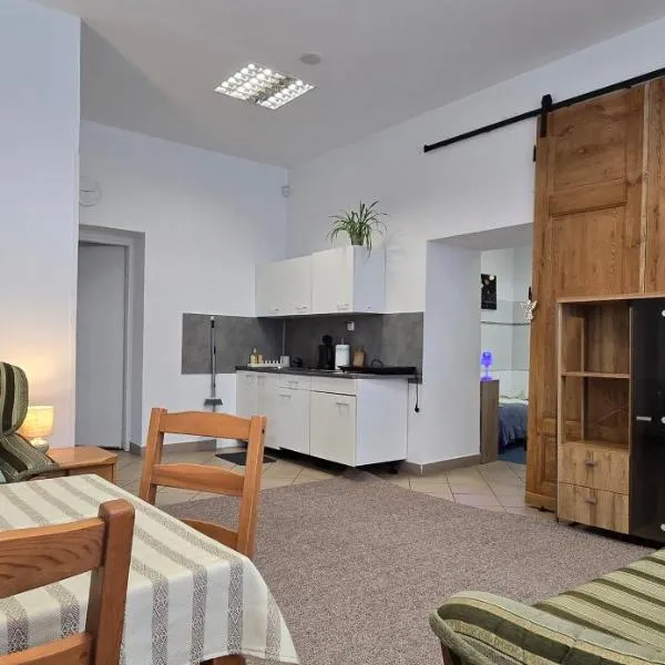 Studio 2 - Strefa Zen pokoje z klimatem przy parku, hotel en Jelenia Góra