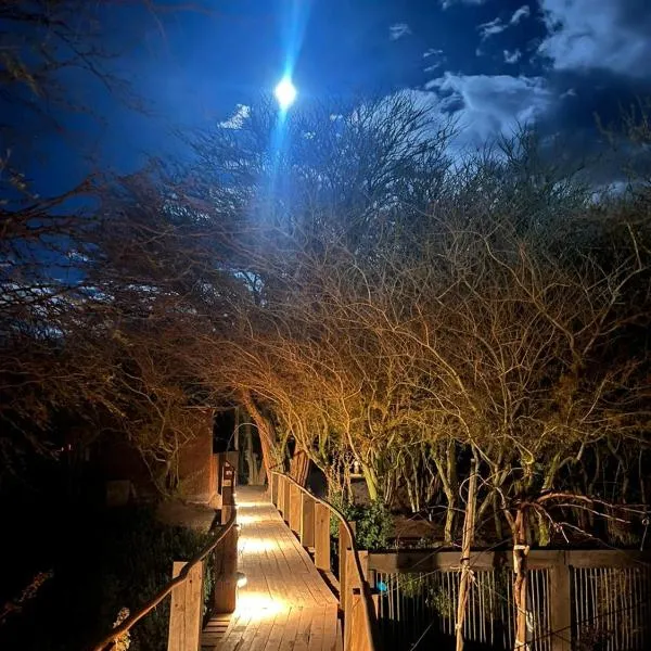 Cabañas el Chañar, hotell i San Pedro de Atacama