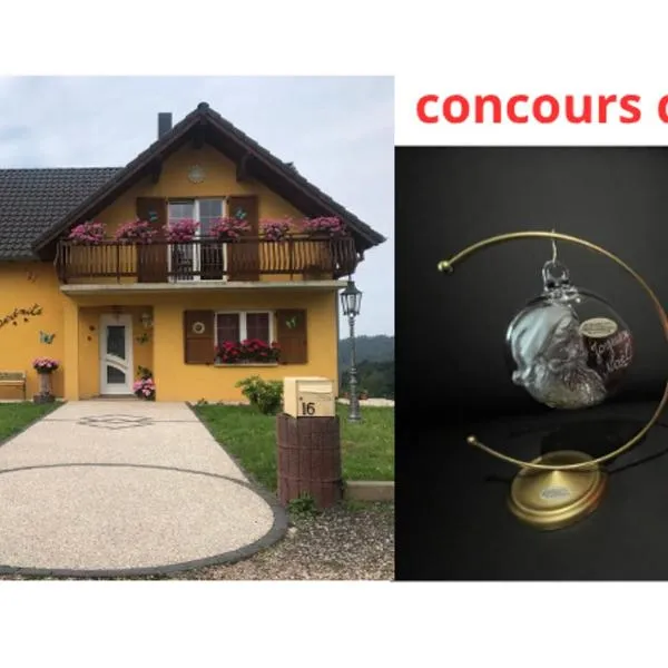 HOME SÉRÉNITÉ, hotel in Haselbourg