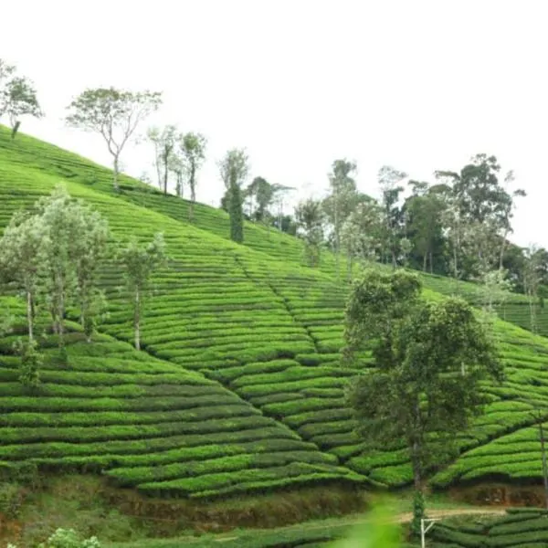 valparai home STAY LLHS，位于瓦尔帕莱的酒店