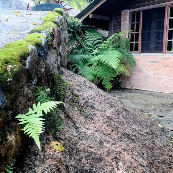 Berto's House HOSTEL - Foto 4