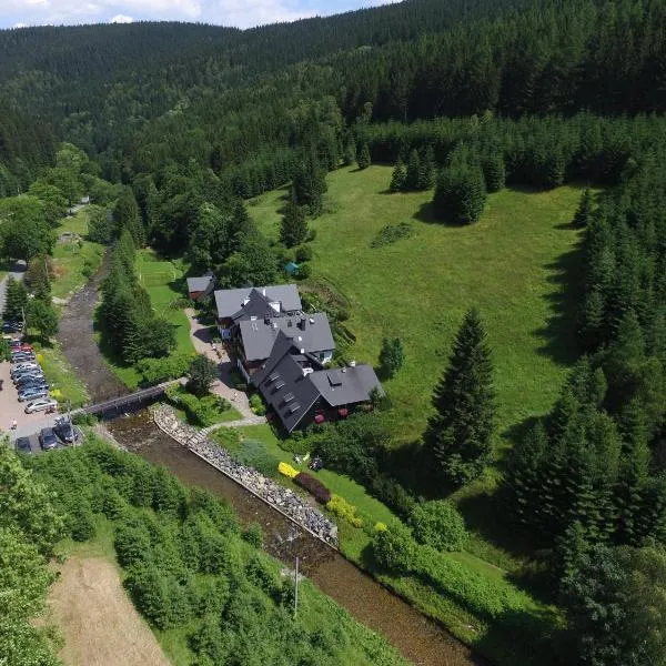 Chata Cyborga, hotel in Stronie Śląskie