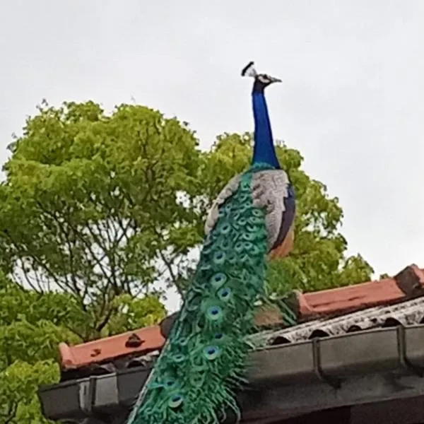 Ayu Kataragama, хотел в Катарагама