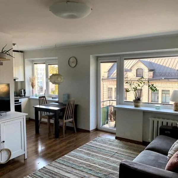 Bright and cozy apartment in the city center with balcony, hotel in Šiauliai