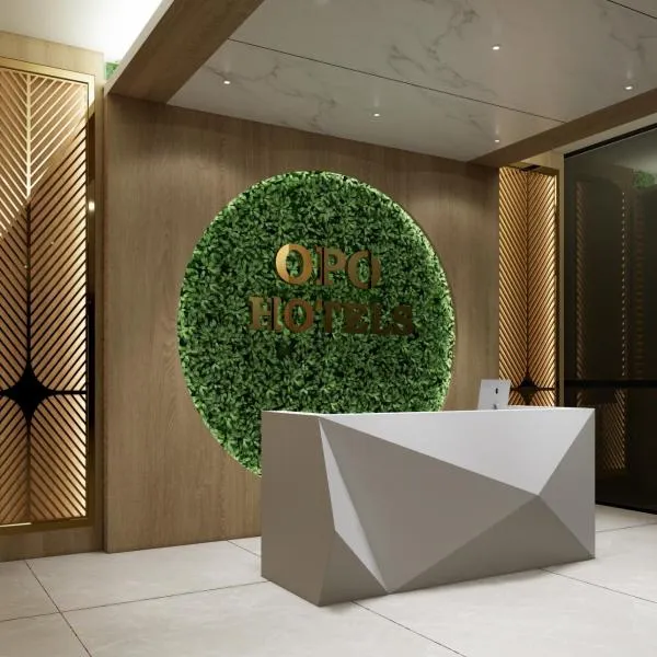 OPO Premium - Free Pickup delhi Airport, hotel in New Delhi