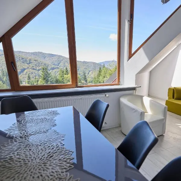 Mountain Apartments SuperSki, hotel in Cavnic