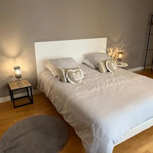 Appartement centre ville, hotel en Langres