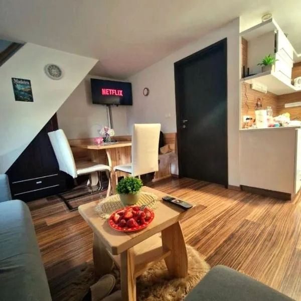 Madeira House - Terme Čatež, hotel in Čatež ob Savi