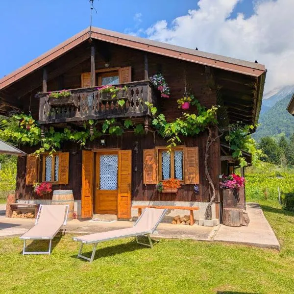 Chalet Relax Tra Le Vigne, hotel in Forni di Sotto