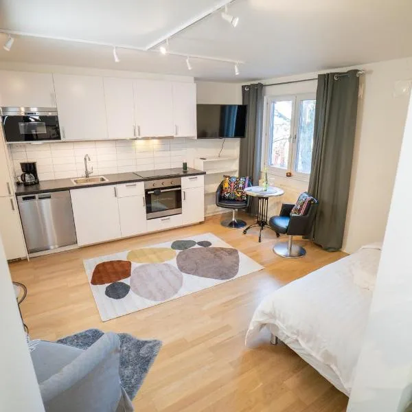 Haga Studio, Super Location with Full Comfort, hotell Göteborgis